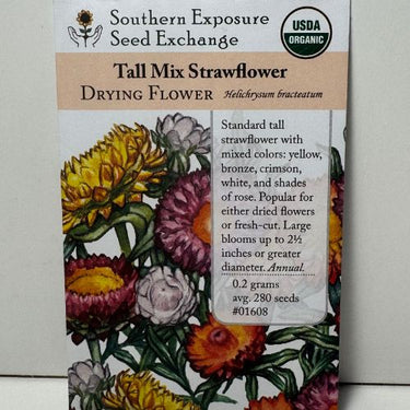 Tall Strawflower Mixture Flower, 16th Century Heirloom